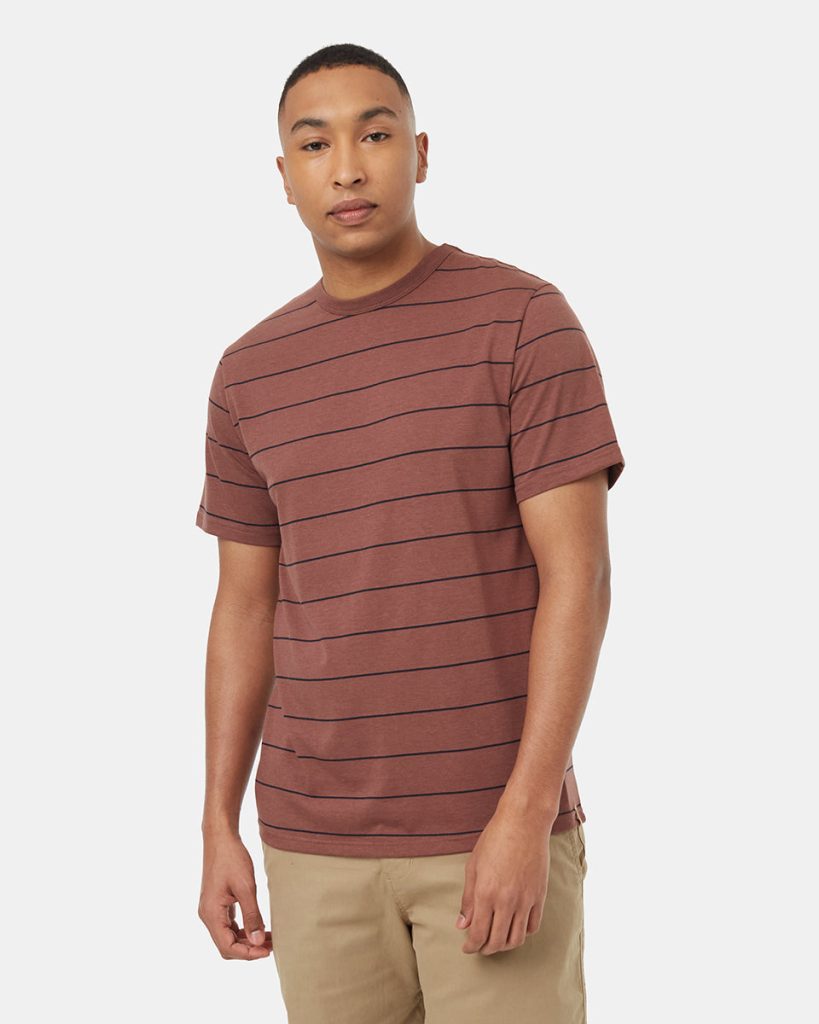 TreeBlend Stripe T-Shirt - Image 2